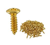 100Pcs Guitar Scratchplate Mounting Screws Guitar Parts Musical Instruments Accessory Electric Guitar Pickguard Screws Guitar Modification Screws