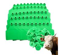 100pcs Large Empty Ear Tags for Livestock PE Ear Tags for Cattle, Pigs and Sheep, Easy to use and Suitable for Farm Management(Yellow, Red, Blue, Green, Orange) Green 100pcs