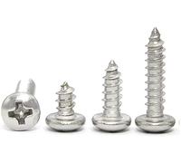 100pcs/lot Self Tapping Screw Stainless Steel Cross Recessed Round Head Self Tapping Screws for Metal(5mm X100pcs,M1.2)