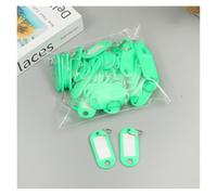 100pcs/lot Tough Plastic Key Tags with Split Ring Label Window for DIY Chain Kit Numbered Name Baggage Luggage(Green)