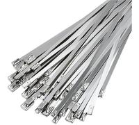 100PCS Metal Cable Ties 304 Stainless Steel 4.6/7.9/10/12mm Exhaust Wrap Coated Self-Locking Metal Zip-Exhaust Locking Cable Tie for Wires, Cables(10mm,300mm)