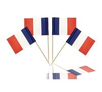 100Pcs Mini France Flags on Sticks, Toothpick Flags for Sandwich Cheese Food Label, France Flag Cupcake Toppers Countries Nation European FRA Cocktail Sticks Royal Event Table Decor