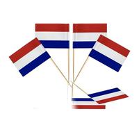 100Pcs Mini Netherlands Flags on Sticks,Toothpick Flags for Sandwich Cheese Food Label Netherlands Flag Cupcake Toppers Countries Nation European Cocktail Sticks Royal Event Holland Table Decor