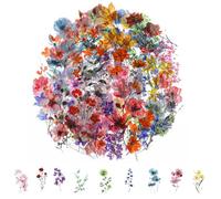 100Pcs Nature Flower Stickers for Scrapbooking, PET Floral Stickers DIY CRA | Transparent Scrapbook Stickers, Waterproof PET Floral Flowers Aesthetic Stickers for Journal Supplies, Planner Art Sticker