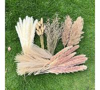 100Pcs Pampas Grass Boho Home Decor 17 inch Natural Dried Flowers-Pampas Grass Contains Bunny Tails White Pampas Brown Pampas.Boho Decor for Farmhouse Wedding Boho Wall Bathroom Office Kitchen…