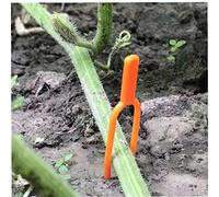 100pcs Plants Support Clips Stalk Fixed Clampes Strawberry Vegetables Vine Flower Locks Garden Supplies