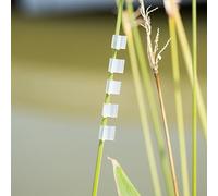 100pcs Plastic Grafting Clips for Garden Plants, Supports Tomato Cucumber Eggplant Grafting, Fits Stems from 2mm to 5mm Diameter Range (5mm)