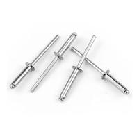 100Pcs Pop Rivets Aluminium Dome Head Blind Rivets Steel Shank Mandrel Exhaust Rivets Pull Nail