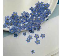 100pcs Pressed Dried Mini Natural Blue Forgetmenot Myosotis Sylvatica Flower Plant Herbarium For Jewelry Bookmark Nailart Craft