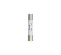100PCS R055 Ceramic Fuse Tube 5 * 25 Glass Insurance Core Fuses 5 * 20 Cylindrical 0.5A 1A 2A 3A 4A 5A 6A 8A 10A(10A,Ceramic 100PCS)