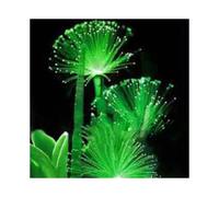 100Pcs Rare Emerald Fluorescent Flower Seeds Night Light Emitting Plants Garden