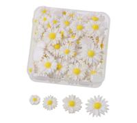 100Pcs Resin Daisy Flowers Flatback Craft, White Flatback Daisy Flowers Decorative 4 Sizes Mini Flower Charm with Storage Box for Scrapbook Embellishment DIY Craft Decorations