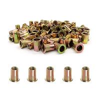 100PCS -Rivet Nuts, M8 Carbon Steel Metric Rivet Nut Assortment Kit, Flat Head Threaded Insert Nutserts Assort,for Automotive Furniture Decoration Electrical and Industrial Products (NUT-M8)