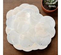 100pcs Round Capiz Sea Shells Capiz Shell Windchime Flat Mussel Shells Coin with Double Holes for Crafts Decoration Jewelry Making Pearl Trim