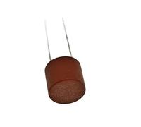 100PCS Round Fuse Slow Blow 500mA 1A 2A 2.5A 3.15A 4A 5A 6.3A 8A 10A 250V 382 Plastic T2A LCD TV Power Board(10A)