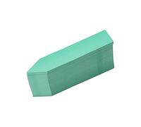 100Pcs Seed Label Marker, 10x2cm/3.94x0.79in Water Proof Flower Name Tag Plastic Nursery Garden Stake Sign for Outdoor Seedlings (Green)