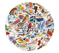 100PCS Stickers for Bird,Bird Stickers,Teens Boys and Girls Sticker Pack Vinyl Skateboard Guitar Door Laptop Luggage Car Bike Water Bottle Birthday Party Supplies Stickers