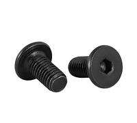 100pcs Thin Flat Head Screw M2 M3 M4 M5 M6 M8 M10 M12 Black 304 Stainless Steel Hex Socket Allen Wafer Bolt(14mm,M2.5 (100 Pieces))