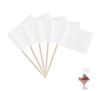 100pcs Toothpick Flags, Blank Food Flags for Buffets to Write On Food Labels Signs for Party Buffet Table Cupcake Toppers Cheese Board Markers Cocktail Picks for Birthday Wedding Dinner Party, White