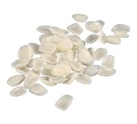 100PCS Veneers Teeth,Temporary Tooth Crown Veneers Tooth Repair Kit,Missing T-ooth Replacement Kit,T-ooth Caps for Broken Teeth,Natural Color and Shape,Comfortable,Confident Smile(for Front Teeth)