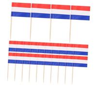 100pcs World Flag Picks for Cupcakes Desserts Miniature Flags for Party Decoration Fruit Picks for Events Decorative Toothpicks for Food Sticks