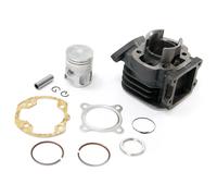 101 Octane Ip11998 Cylinder Kit