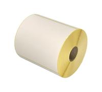 102mm x 102mm Direct Thermal Labels, 2 Rolls / 500 per Roll, DPD Compatible Labels, 4" x 4" Labels, Compatible with Munbyn, Zebra, Citizen, Toshiba etc Label Printers (102mm x 102mm, 2, Count)