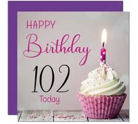 102nd Birthday Card for Women Men Pink Grey Cupcake Birthday Card for 102 Year old Woman Ladies Grandma Nan Mum Aunt Nan Friend Sister Nanny