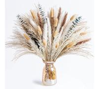 103 PCS Pampas Grass Artificial, Natural Dried Pampas Grass with Eucalyptus & Bunny Tails, Fluffy and Low-Maintenance Home Decor Arrangement for Vase, Wedding Centrepieces,for Several Seasons