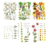 104Pcs Dried Pressed Flowers,Real Natural Dry Flower for Crafts,Colorful Pressed Flowers and Leaves Kit,Decorative Dried Flower for DIY Art Craft Jewelry Candle Soap Phone Case Scrapbooking(Style 1)