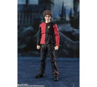 107869 HARRY POTTER AND THE GOBLET OF FIRE HARRY POTTER SHF