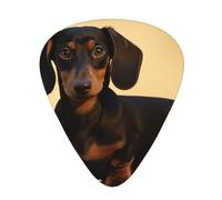 108 Pieces Guitar Picks Bulk, 3 Different Thickness Custom Guitar Tips with Storage Box, Guitar Accessories for Bass, Electric Guitar, Guitar Lovers