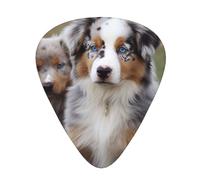 108 Pieces Guitar Picks in Bulk, 3 Different Thickness Custom Guitar Tips with Storage Box, Australian Shepherd Guitar Accessories, for Guitar Lovers