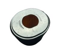 1098162 - Genuine Replacement Air Filter