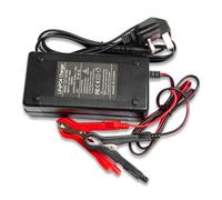 (10A, 60Ah, Charger only) LiFePo4 Battery 12.8V Lithium-Ion Iron Phosphate 12V Leisure Solar Caravan
