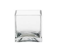 Floralcraft® 10cm Glass Cube Vase Flowers Vase Decorative Centerpiece for Floral Arrangements, Home Decor Wedding Party, Planter Terrarium Candle Holder (Set of 2)