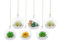 10cm Hanging Glass Globes Terrarium Orbs 6 Pcs Glass Planter Big Opening Air Fern Plants Vase Hanger 4 Inches for Home Party Wedding Garden DIY Design