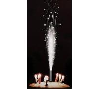 10cm Ice Fountain Sparking Candles 48pk (48pcs) - Silver - Premium Quality (Silver)