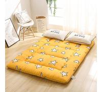10cm Thick Portable Camping Mattress Foldable Roll Up Floor Lounger Couch Bed Double Sleeping Mat Soft Futon Mattress Tatami Floor Mat for Back Pain Relief ( Color : E , Size : 120 x 190 cm (47 x 75 i