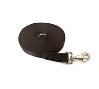 10ft 3m Horse Lunge Line/Large Dog Training Lead 25mm Cushioned Webbing And Heavy Duty Fluted Trigger Clip In (Brown)