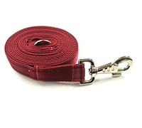 10ft 3m Horse Lunge Line Large Dog Training Lead Large 25mm Cushioned Webbing And Heavy Duty Fluted Trigger Clip In (Burgundy)