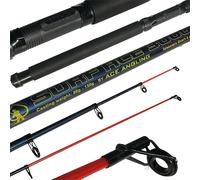 10ft Telescopic Sea Fishing Kit. Beachcaster Pier Surf Travel Rod & Reel With Line.