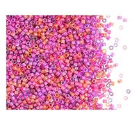 10g Delica Seed Beads 11/0 Japanese Glass Beads Miyuki Bright Mix 4