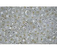 10g Miyuki 6/0 Round Japanese Seed Beads 4mm 9131S Silver Lined Crystal Rocailles Beading Supplies Jewellery Making Japanese Beads