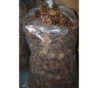 10kg Bag of Pine Cones, Huge Joblot Re-Sale Christmas Wreaths Crafts Market Shop
