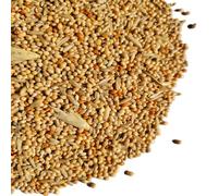 (10kg) Budgie Seed - Bird Food | By PawMits Pet Supplies