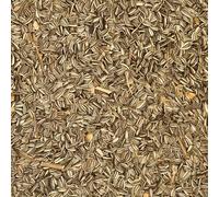 10kg Medium Striped Sunflower Seed - Sunflower Bird Food/Feed for Wild Birds - High Protein, Oil-Rich Bird Food for Wild Birds - Premium All-Round Seed Choice