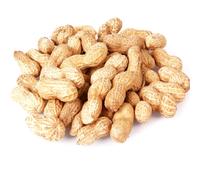 (10kg) Peanuts In Shells / Monkey Nuts