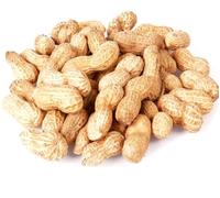 (10kg) Peanuts In Shells/Monkey Nuts - Bird & Animal Food | By PawMits Pet Supplies