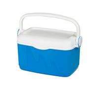 10L Portable Cool Box Ice Pack 2x 250g Handle Lid Travel Holiday Beach Cooler HQ